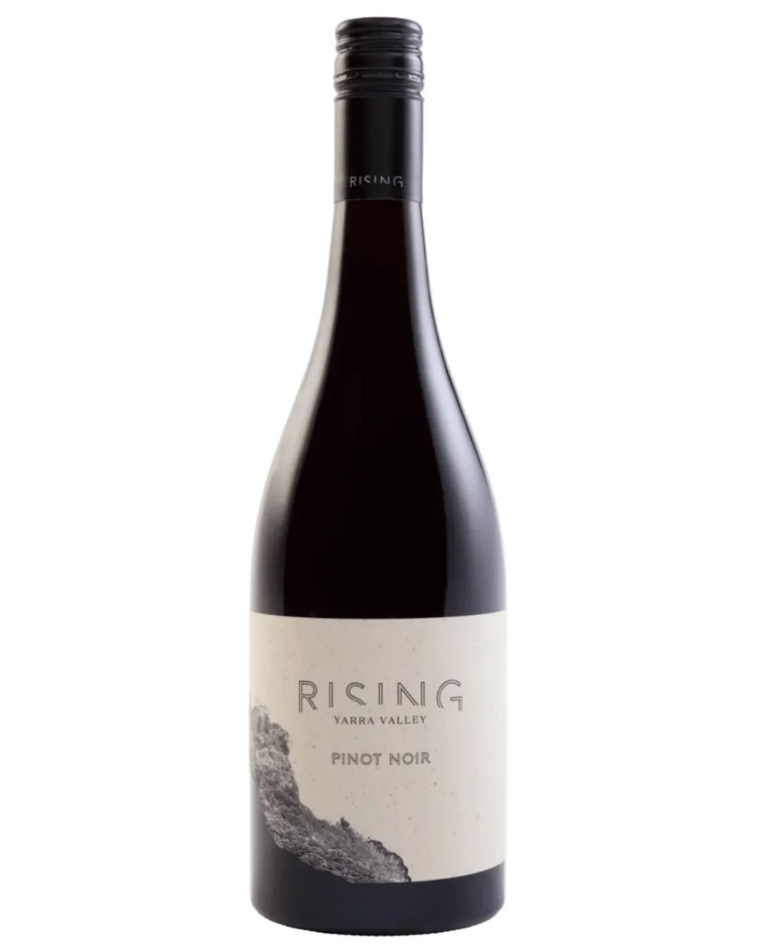2024 Rising Pinot Noir