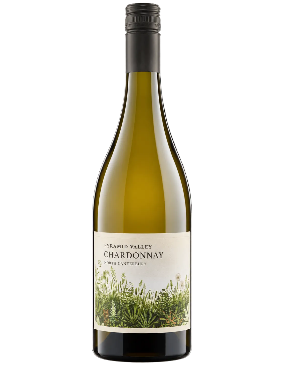 2024 Pyramid Valley North Canterbury Chardonnay | Double 94 Points | New Zealand