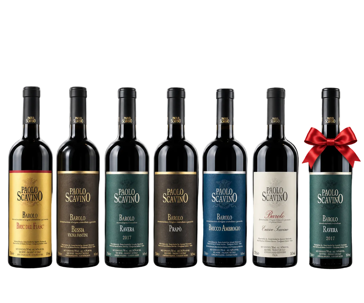 Paolo Scavino 2021 Barolo Masterclass Six-Pack + Bonus 2017 Ravera
