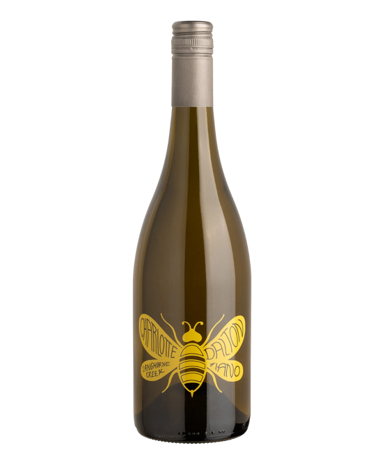 2024 Charlotte Dalton Fred’ Fiano