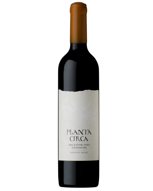 2021 Purple Hands Planta Circa Ancestor Vine Grenache