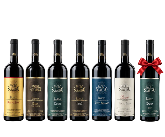 Paolo Scavino 2021 Barolo Masterclass Six-Pack + Bonus 2017 Ravera