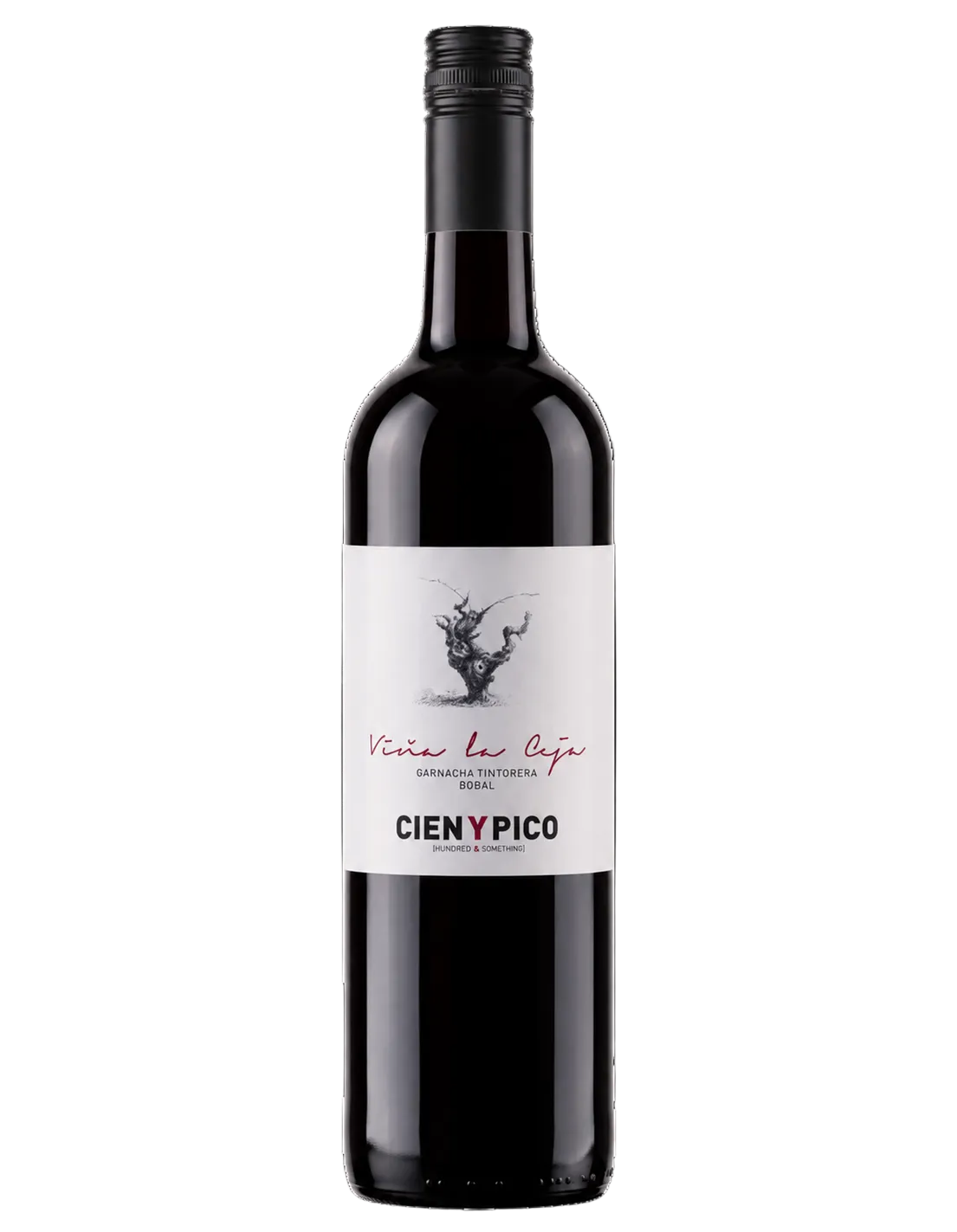 2021 Cien Y Pico Viña La Ceja Bobal Garnacha Tintorera | Outstanding Value Spanish