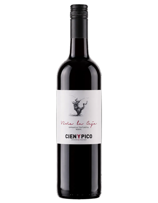 2021 Cien Y Pico Viña La Ceja Bobal Garnacha Tintorera | Outstanding Value Spanish